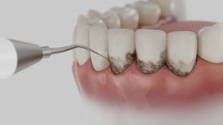 Reliable Dental contractor in Presidential Lakes Estates, NJ by Dentist Open Now